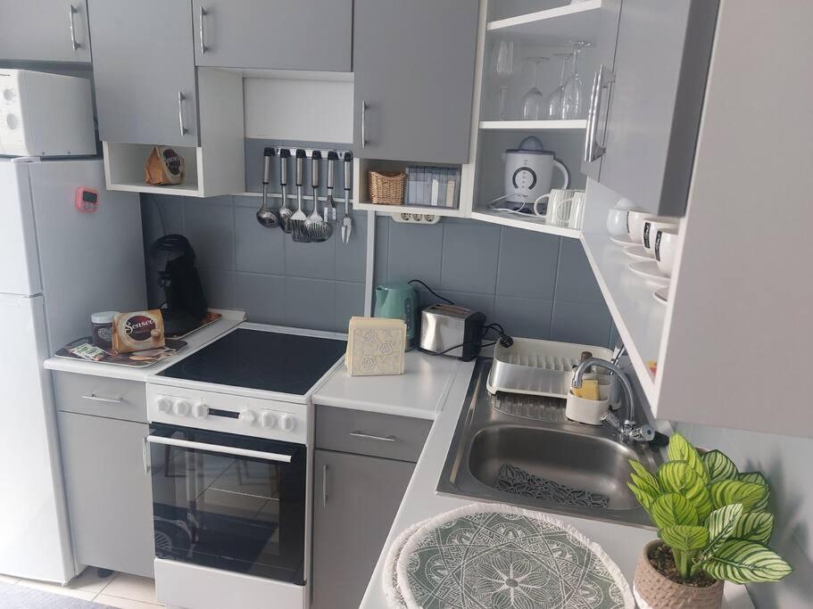Dora Apartman Best Location & Free Parking Debrecen Eksteriør billede